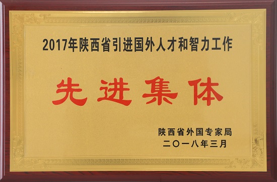 2017年陕西省引进国外人才和智力196体育
先进集体.JPG